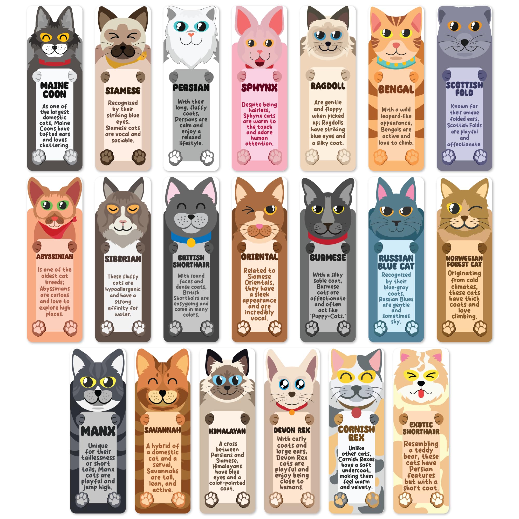 Cartoon Cat_BM_100pcs