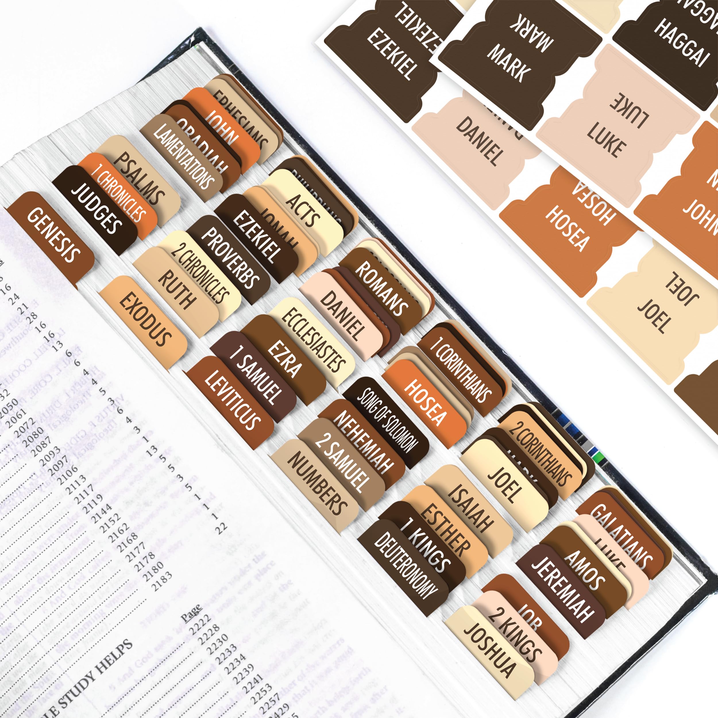 BIBLE_TAB_Brown